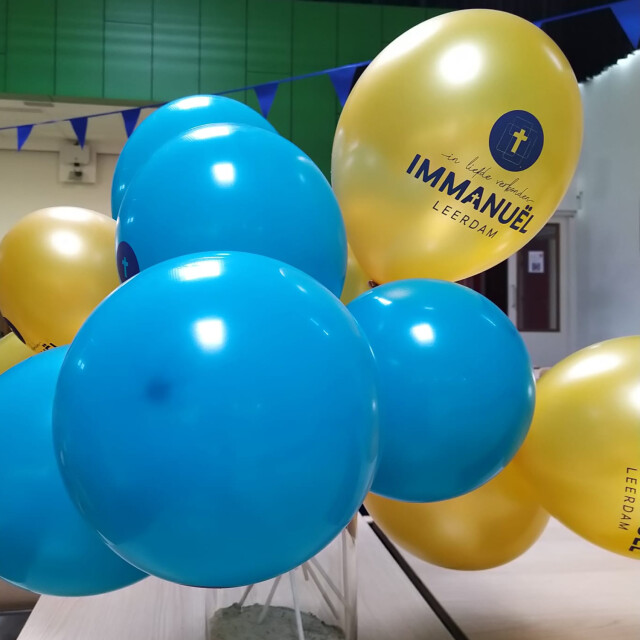 Bedrukteballonnen janineontwerpt
