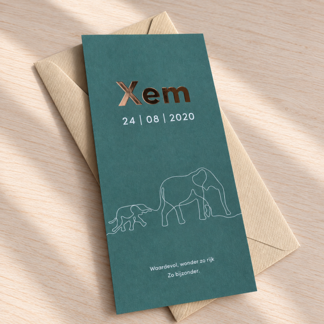 Geboortekaartje Xem koper folie